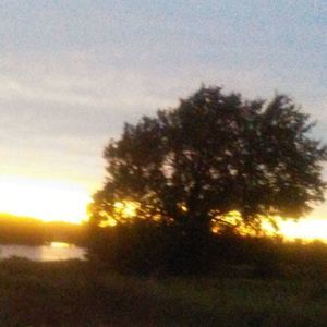 Meet your Posher, Shelli